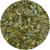 verde-mate-green-premium-slim-select-200-g