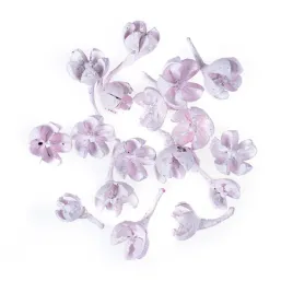 suszone-owoce-rozowe-10g-dp-craft