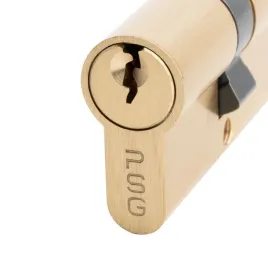 wkladka-bebenkowa-do-drzwi-furtki-bramy-psg-35-35-mosiadz-3-klucze-6-pinow