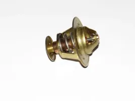 2485613-termostat-1447384m1-2485605