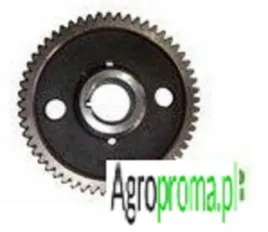 3641740m1-kolo-rozrzadu-massey-ferguson-3120-3125