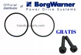 borgwarner-oringi-do-pomp-haldex-5-i-6-generacji-sruby-pompy-5-gen-gratis