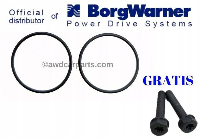 borgwarner-oringi-do-pomp-haldex-5-i-6-generacji-sruby-pompy-5-gen-gratis