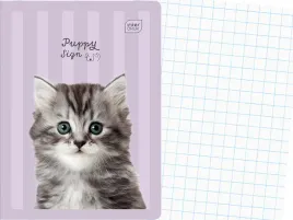 interdruk-szkolny-zeszyt-a5-kratka-16-kartek-w-kratke-puppy-sign-kot-kotek