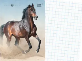 interdruk-szkolny-zeszyt-a5-kratka-16-kartek-w-kratke-wild-horses-kon
