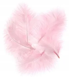 piorka-indycze-dekoracyjne-15-cm-5-sztuk-piora-scrapbooking-dpcraft-rozowe