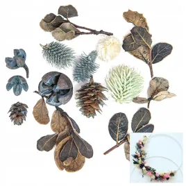 suszone-owoce-i-liscie-morskie-dekoracyjne-scrapbooking-dpcraft-14-sztuk