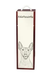 nagi-pies-meksykanski-bezwlosy-pies-aztekow-xoloitzquintle-pudelko-na-w
