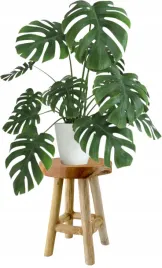 stojak-kwietnik-na-monstere-drewno-teklowe-natural