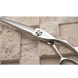 passion-nozyczki-zeta-6-5