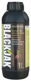 blackjak-1-l