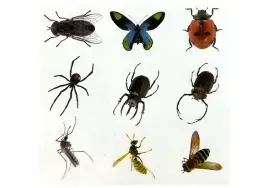 dla-dzieci-zestaw-tworzenia-bursztynowych-owadow