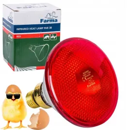 lampa-grzewcza-175w-kwoka-zarowka-e27-czerwona-promiennik-podczerwieni