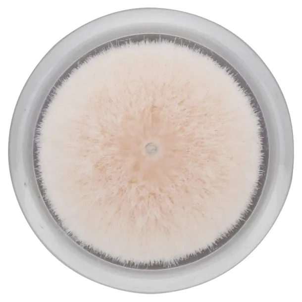 maybelline-02-68-ml-korektor-pod-oczy-marka-maybelline