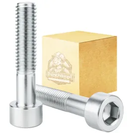 sruba-imbusowa-m10x140-din-912-kl-8-8-ocynk-1kg