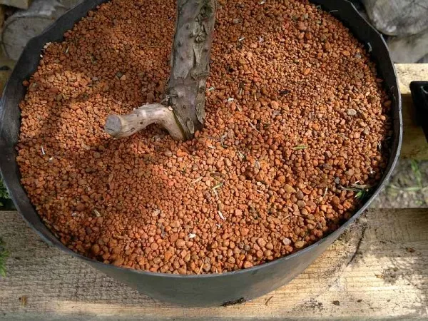 euro-akadama-ziemia-do-bonsai-20-kg-40l-5-12-mm-kod-produktu-ea-5-12mm-20kg