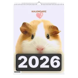 kalendarz-2026-a3-13-stronny-scienny-swieta-swinka-1d-00802