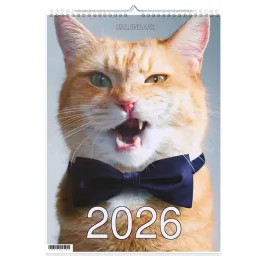 kalendarz-2026-a3-13-stronny-scienny-swieta-smieszne-koty-1d-00801