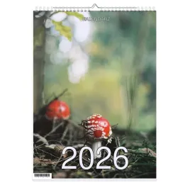 kalendarz-2026-a3-13-stronny-scienny-swieta-jmp-grzyby1-1d-00349
