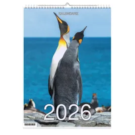 kalendarz-2026-a4-13-stronny-scienny-swieta-imp-pingwiny-1d-00302