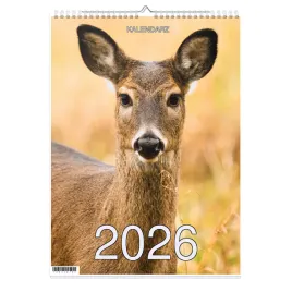 kalendarz-2026-a3-13-stronny-scienny-swieta-jmp-zwierzeta-lesne5-1d-00413