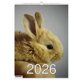 kalendarz-2026-a4-13-stronny-scienny-swieta-imp-kroliki-1d-00275