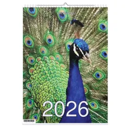 kalendarz-2026-a4-13-stronny-scienny-swieta-ptaki-02-1d-00703