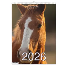 kalendarz-2026-a3-13-stronny-scienny-swieta-imp-konie-01-1d-00262
