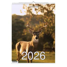kalendarz-2026-a3-13-stronny-scienny-swieta-imp-jelen-1d-00253