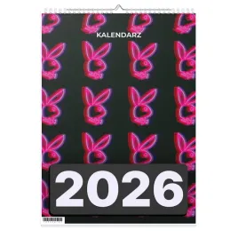 kalendarz-2026-a3-13-stronny-scienny-swieta-plainboy-1d-00684