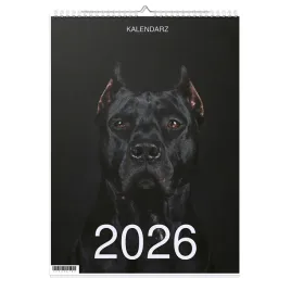 kalendarz-2026-a4-13-stronny-scienny-swieta-pitbull-1d-00678