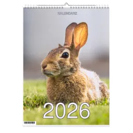 kalendarz-2026-a3-13-stronny-scienny-swieta-kroliki-1d-00461