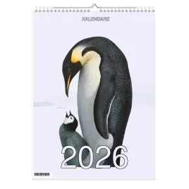 kalendarz-2026-a3-13-stronny-scienny-swieta-pingwiny-1d-00676