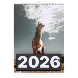 kalendarz-2026-a3-13-stronny-scienny-swieta-alpaka-02-1d-00005