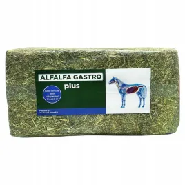 eggersmann-alfalfa-gastro-plus-sieczka-z-lucerny-18-kg