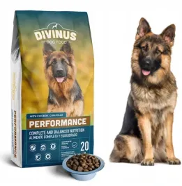 divinus-performance-dla-owczarka-karma-sucha-20kg