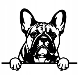 wieszak-metalowy-decormetal-bulldog-francuski-frenchie-czarny-21cm
