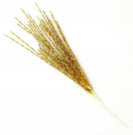 galazka-sztuczna-70cm-ozdoba-dekoracja-swiateczna-stroik-zloty