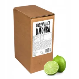 sok-z-limonki-100percent-sadvit-5l-orzezwiajaca-limonka-z-limonek-limonkowy