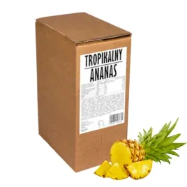sok-z-ananasa-100percent-5l-tloczony-tropikalny-ananas-nfc-do-drinkow-na