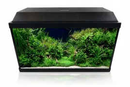 invital-led-zestaw-60l-z-filtrem-i-grzalka