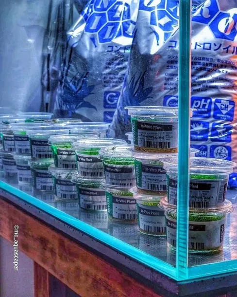 controsoil-3l-normal-substrat-japonski-marka-invital-rodzaj-naturalne