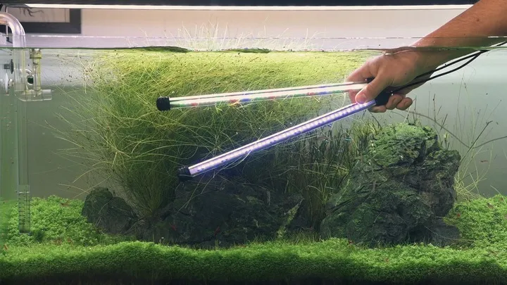 invital-aquaspectrum-led-114w-485cm