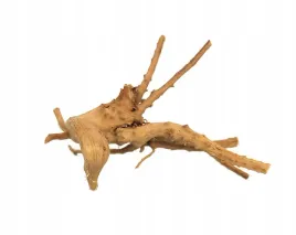 korzen-red-moor-wood-wybierany-losowo-15-25cm