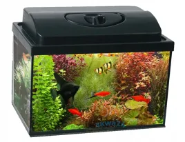 akwarium-25l-proste-40x25x25cm-12-gratisowow