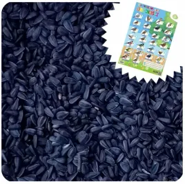 slonecznik-dla-ptakow-10kg-karma-pokarm-ziarno-do-karmnik-plakat