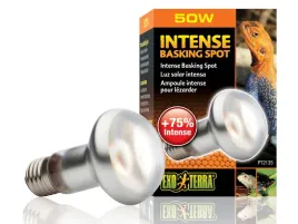 zarowka-grzewcza-do-terrarium-agamy-intense-basking-spot-50w-exo-terra