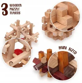 sharp-brain-zone-drewniane-gry-logiczne-3d-drewniana-lamiglowka
