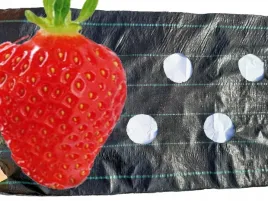 agrotkanina-otwory-truskawki-ogorki-06-x-20m-uv