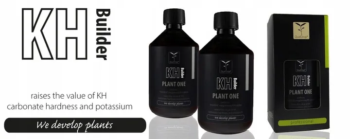 qualdrop-kh-builder-500-ml